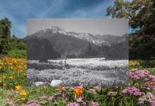 A Future in Full Bloom