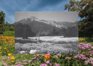 A Future in Full Bloom