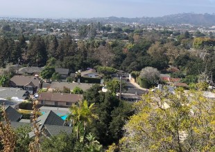 A Look at Municipal and State Rental Rules and What Happened Next