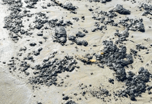 Unusual Amount of Oil and Tar Reported on Beaches Across South Coast 