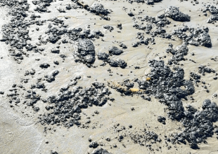 Unusual Amount of Oil and Tar Reported on Beaches Across South Coast 