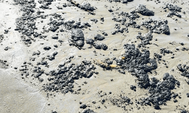 Unusual Amount of Oil and Tar Reported on Beaches Across South Coast 