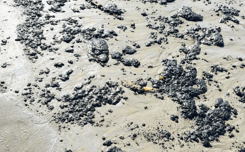 Unusual Amount of Oil and Tar Reported on Beaches Across South Coast 