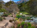 Firescaping for Landscape Maintenance Professional