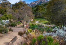 Firescaping for Landscape Maintenance Professional