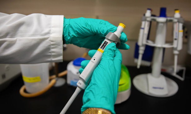 White House Admits It Used Keywords to Kill Billions Worth of California Research Grants
