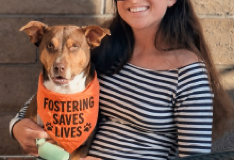 C.A.R.E.4Paws Seeks Foster Families to Support Central Coast Pets While their People Rebuild their Lives