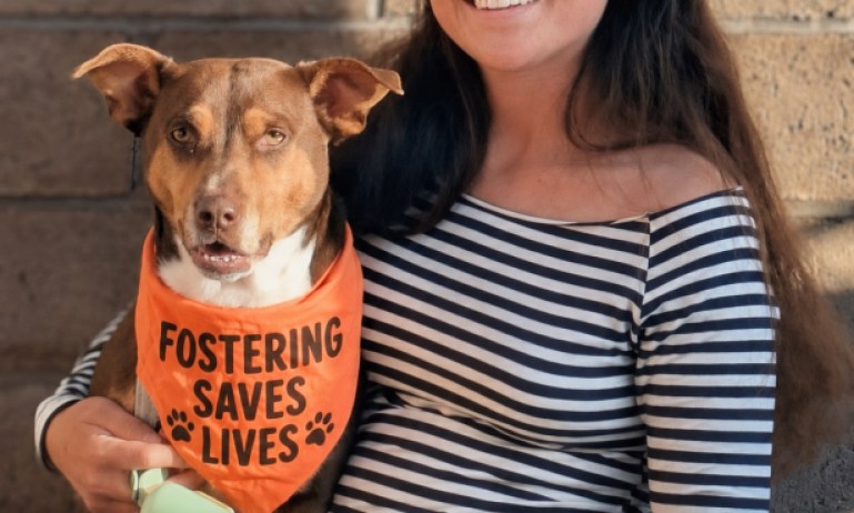 C.A.R.E.4Paws Seeks Foster Families to Support Central Coast Pets While their People Rebuild their Lives