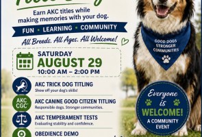 Wag, Play & Title Day