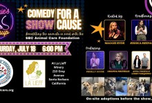 Come for the Dogs, Stay for the Laughs