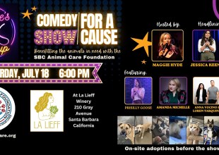 Come for the Dogs, Stay for the Laughs
