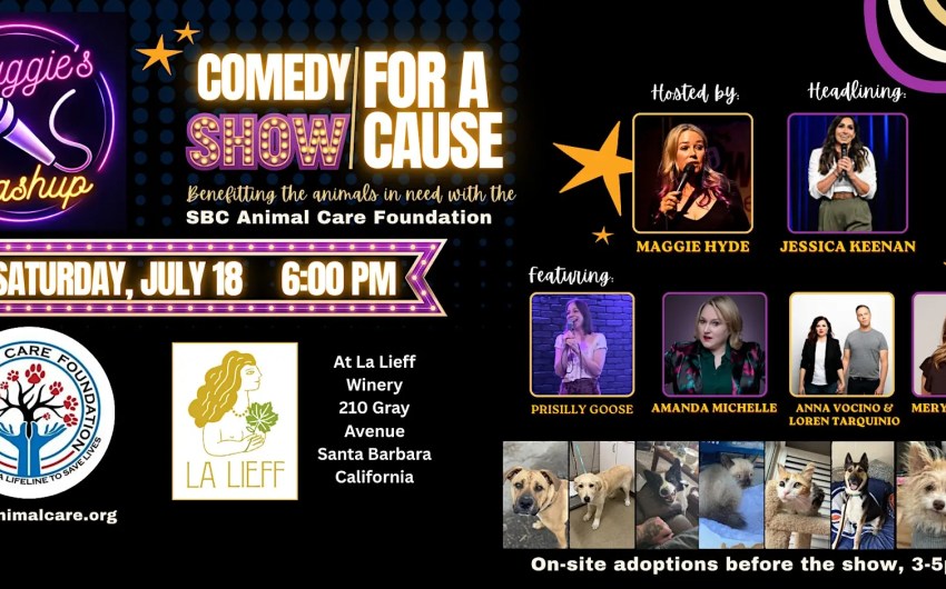 Come for the Dogs, Stay for the Laughs