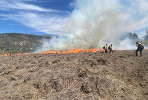 Science Pub: Fire – History, Science and Practice