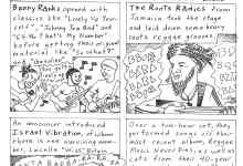 A Visual Review of Israel Vibration at SOhO