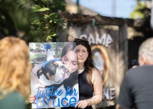 Protesters Gather Outside Santa Barbara’s Camp Canine to Demand ‘Justice for Bruce’
