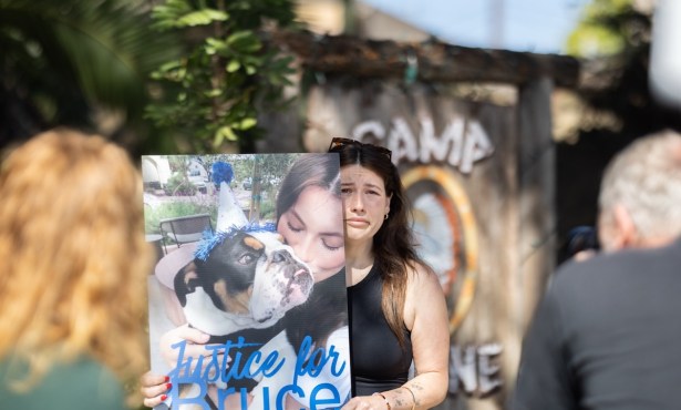Protesters Gather Outside Santa Barbara’s Camp Canine to Demand ‘Justice for Bruce’