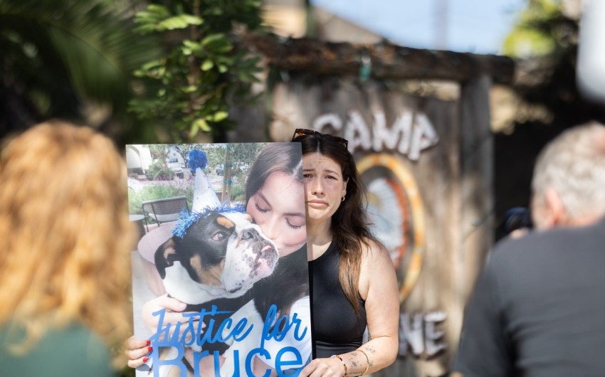 Protesters Gather Outside Santa Barbara’s Camp Canine to Demand ‘Justice for Bruce’