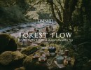 Forest Flow Hike