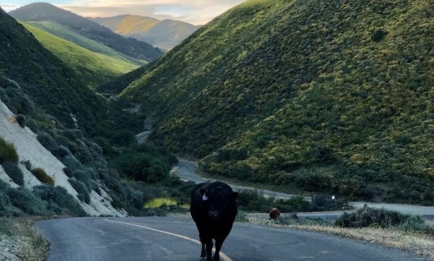 The Long and Winding Road to Open Hollister Ranch’s Remote Beaches to the Public