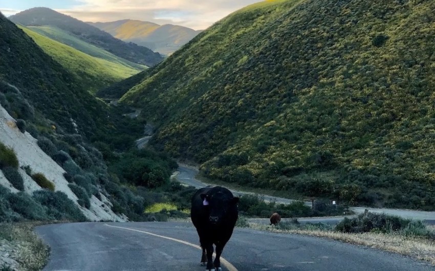 The Long and Winding Road to Open Hollister Ranch’s Remote Beaches to the Public