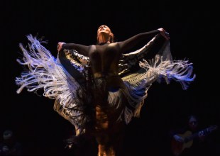 Spectacular Flamenco Suite Sets the Lobero Stage on Fire