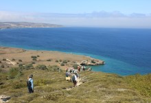 Experience Santa Rosa Island