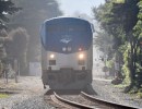Man Fatally Struck by Passenger Train Near Santa Barbara’s Dwight Murphy Park