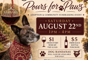 SAMsARA Pours for Paws Adoption & Fundraiser