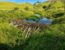 Working with Water: Building Resilient Watersheds