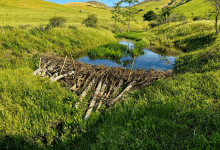 Working with Water: Building Resilient Watersheds