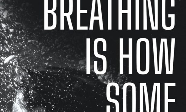 Book Review | ‘Breathing Is How Some People Stay Alive: Stories’ by Alison Gadsby