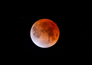 Observatory Opens for Partial Lunar Eclipse