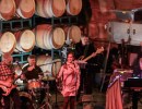 Barrel Room Sessions at Carr ~ Do No Harm Band