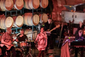 Barrel Room Sessions at Carr ~ Do No Harm Band