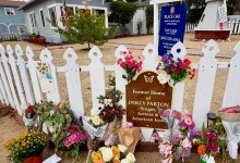 The Home Page | Dolly, Hubba Hubba, & a Home Among the Oaks
