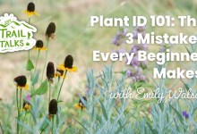 Plant ID 101: The 3 Mistakes Every Beginner Makes