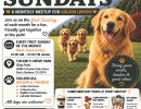 Golden Sundays: A Golden Retriever Gathering