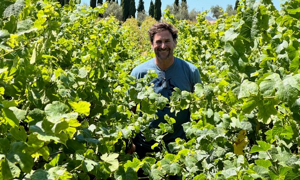 Wine Harvest Starts Super Early, But Could End Closer to Normal 