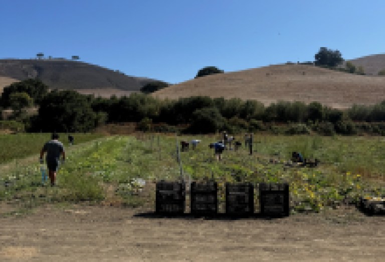 Tee Off to Fight Hunger: Veggie Rescue Announces First Annual Golf Classic at Alisal Ranch Course