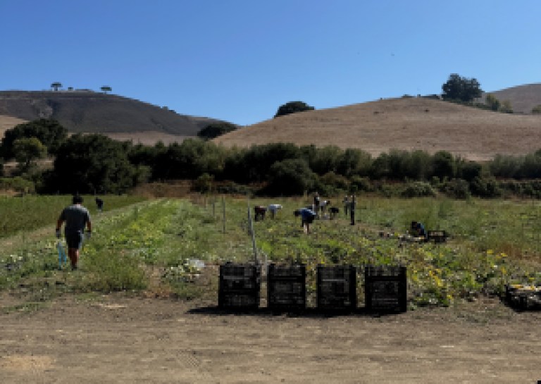 Tee Off to Fight Hunger: Veggie Rescue Announces First Annual Golf Classic at Alisal Ranch Course