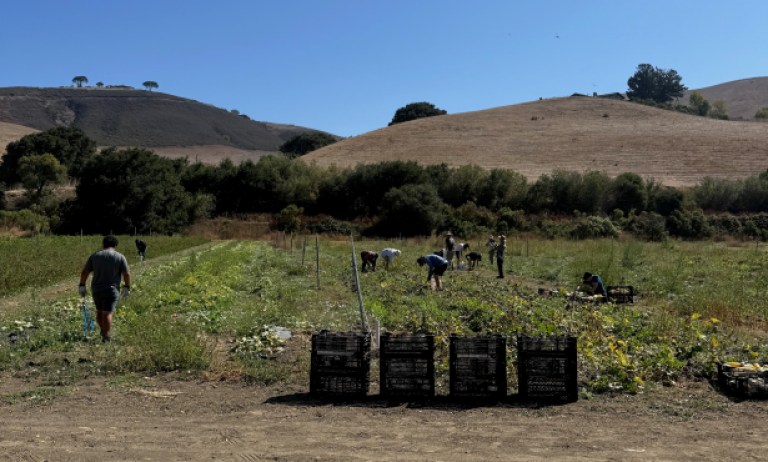 Tee Off to Fight Hunger: Veggie Rescue Announces First Annual Golf Classic at Alisal Ranch Course