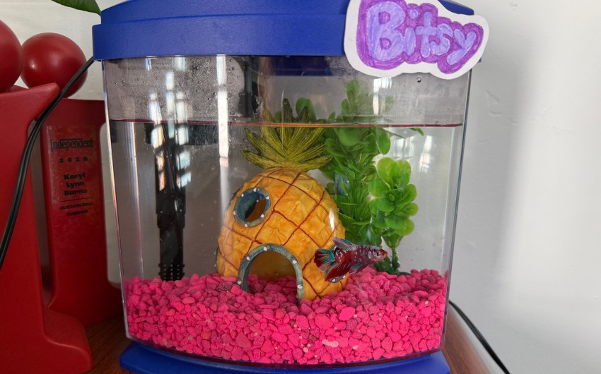 The Indy’s First Office Pet