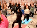 Sword Yoga & Wellness Fair