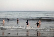 Sunday Morning Ocean Swim with the Ocean Ducks