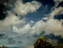 Out of the Blue Photography Exhibit Opens