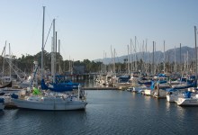 The Harbor That Forgot Who Owns It