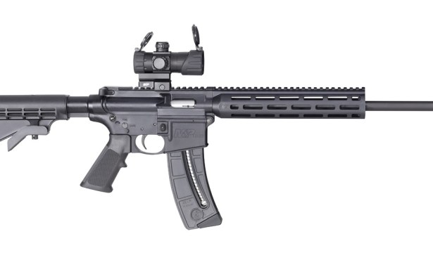A Toddler, Teacher, and Goleta City Council Member Walk Into a Gun Store