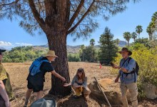 Fall Equinox Walkabout with Lanny Kaufer