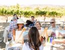 Painting in the Vineyard at Vega Vineyard and Farm