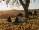 Shining a Spotlight on Female Farmers & Makers